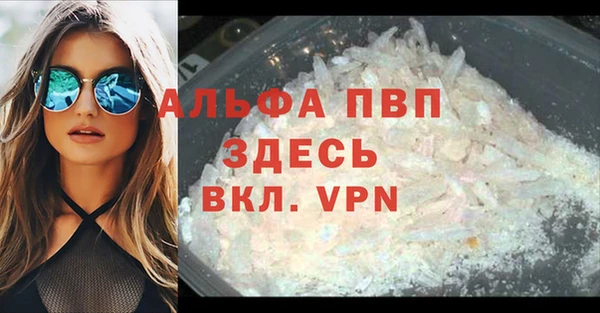 эйфоретик Кукмор
