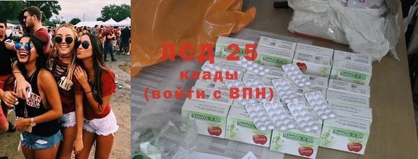 ГАЛЛЮЦИНОГЕННЫЕ ГРИБЫ Кулебаки