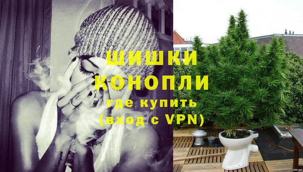 ГАЛЛЮЦИНОГЕННЫЕ ГРИБЫ Кулебаки