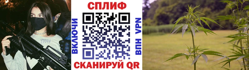 ссылка на мегу как войти  Хвалынск  Марихуана THC 21%  как найти закладки 